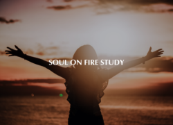 Soul on Fire Study